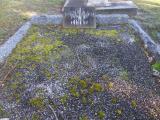 image of grave number 760218